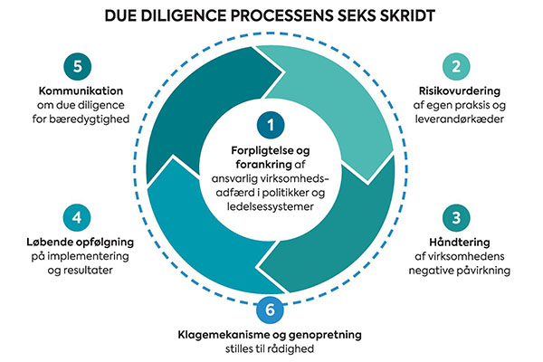 Due Diligence processens seks skridt